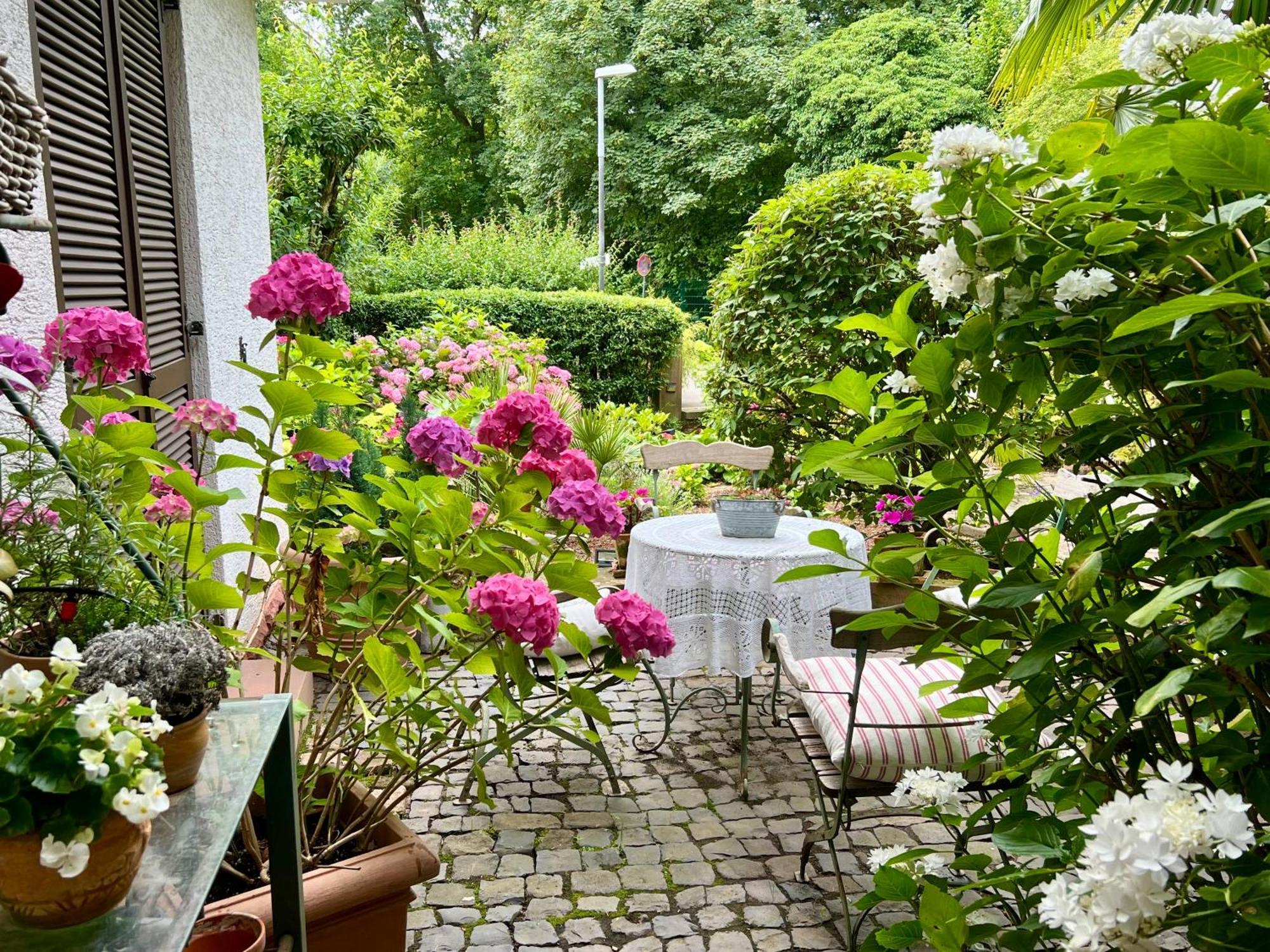 Einliegerwohnung In Einer Muehle Vor Den Toren Frankfurts, Ideal Fuer Messegaeste Oder Stop Over Dreieich Exteriör bild