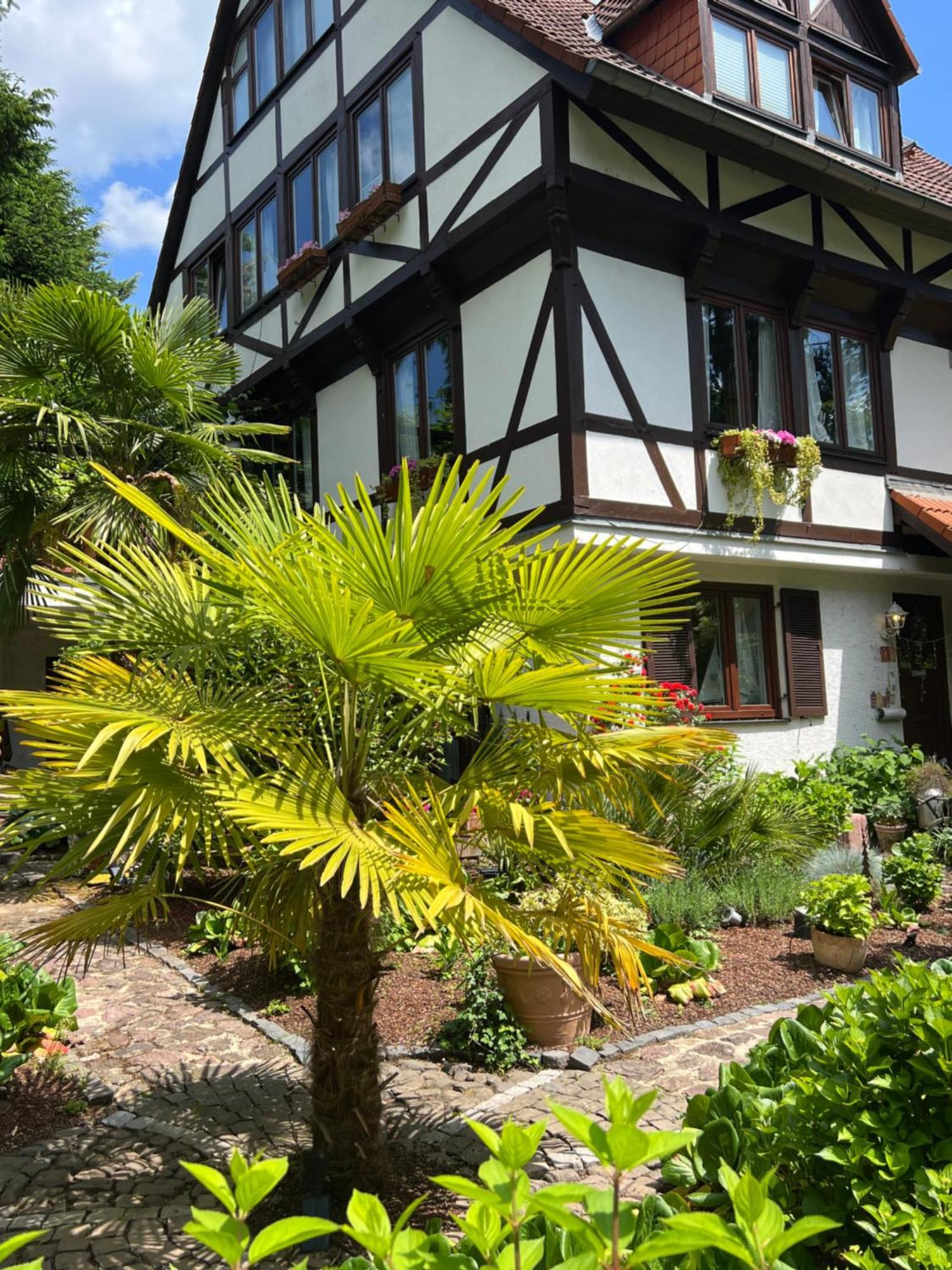 Einliegerwohnung In Einer Muehle Vor Den Toren Frankfurts, Ideal Fuer Messegaeste Oder Stop Over Dreieich Exteriör bild